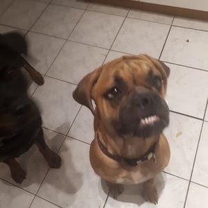 Meet your Posher, Cheryl